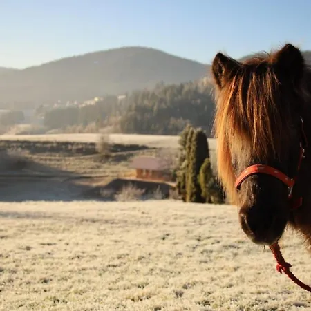 Çiftlik konaklama S'heimatgfuehl *